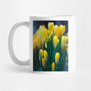 Yellow crocus Mug